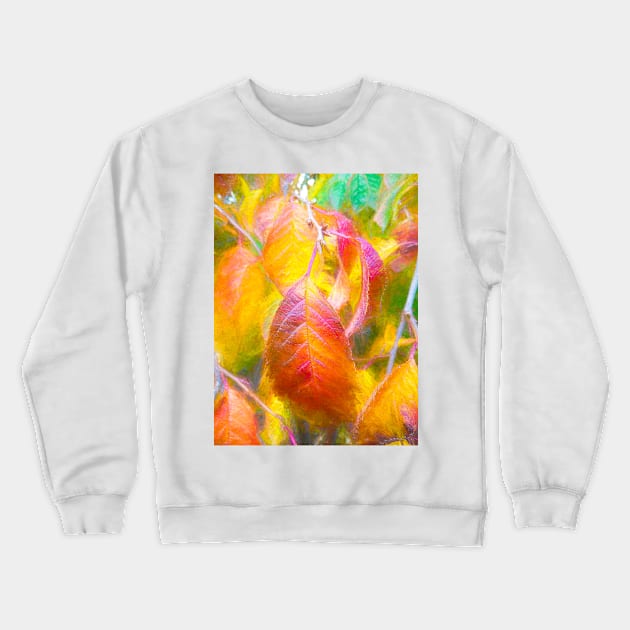 The Autumnal Cherry Tree Crewneck Sweatshirt by PictureNZ